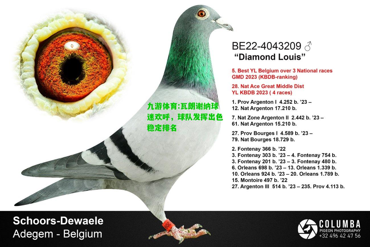 九游体育:瓦朗谢纳球迷欢呼，球队发挥出色稳定排名