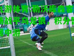 九游体育:勒沃库森客场战平乌龙狼，积分暂居中游